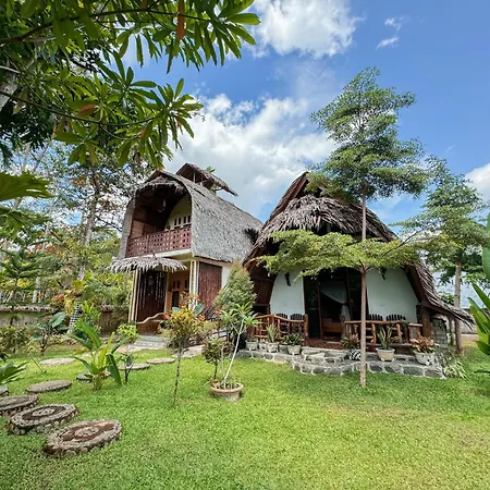 Sumatra Orangutan Treks Villa & Eco Jungle Trekking Activity Timbanglawang Exterior photo