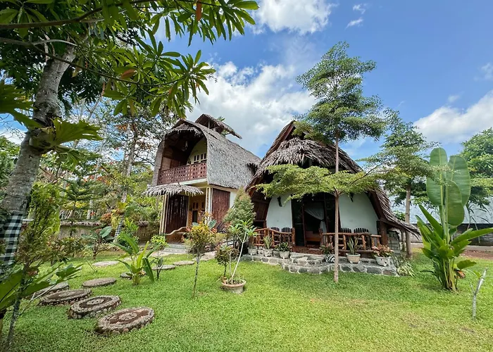 Sumatra Orangutan Treks Villa & Eco Jungle Trekking Activity