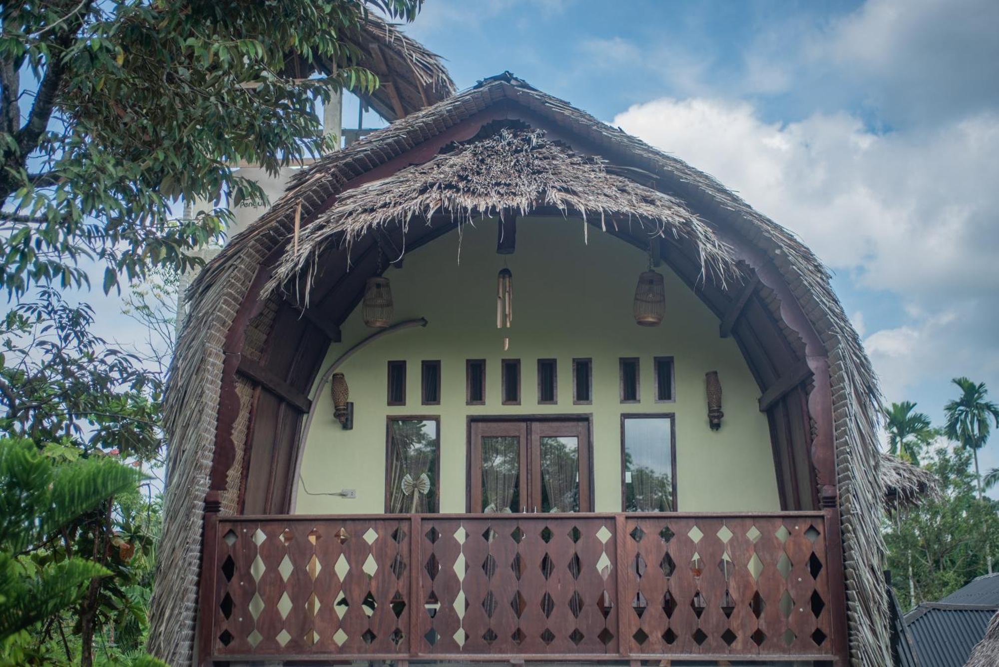 Sumatra Orangutan Treks & Eco Jungle Trekking Activity Timbanglawang