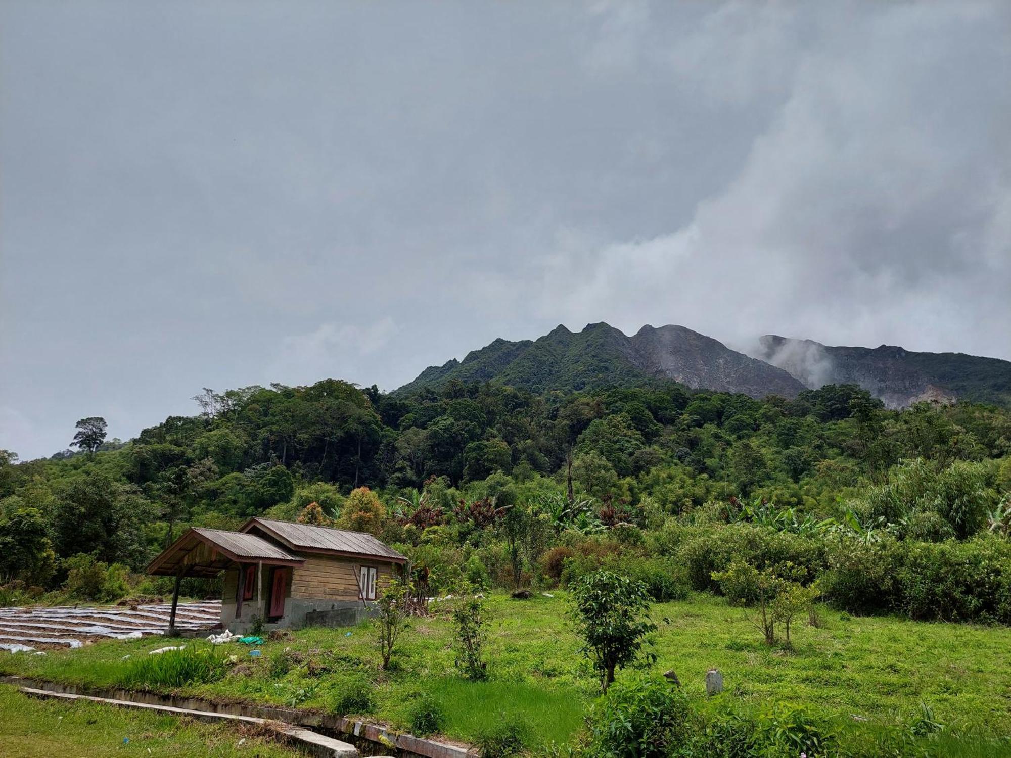 Sumatra Orangutan Treks & Eco Jungle Trekking Activity Timbanglawang