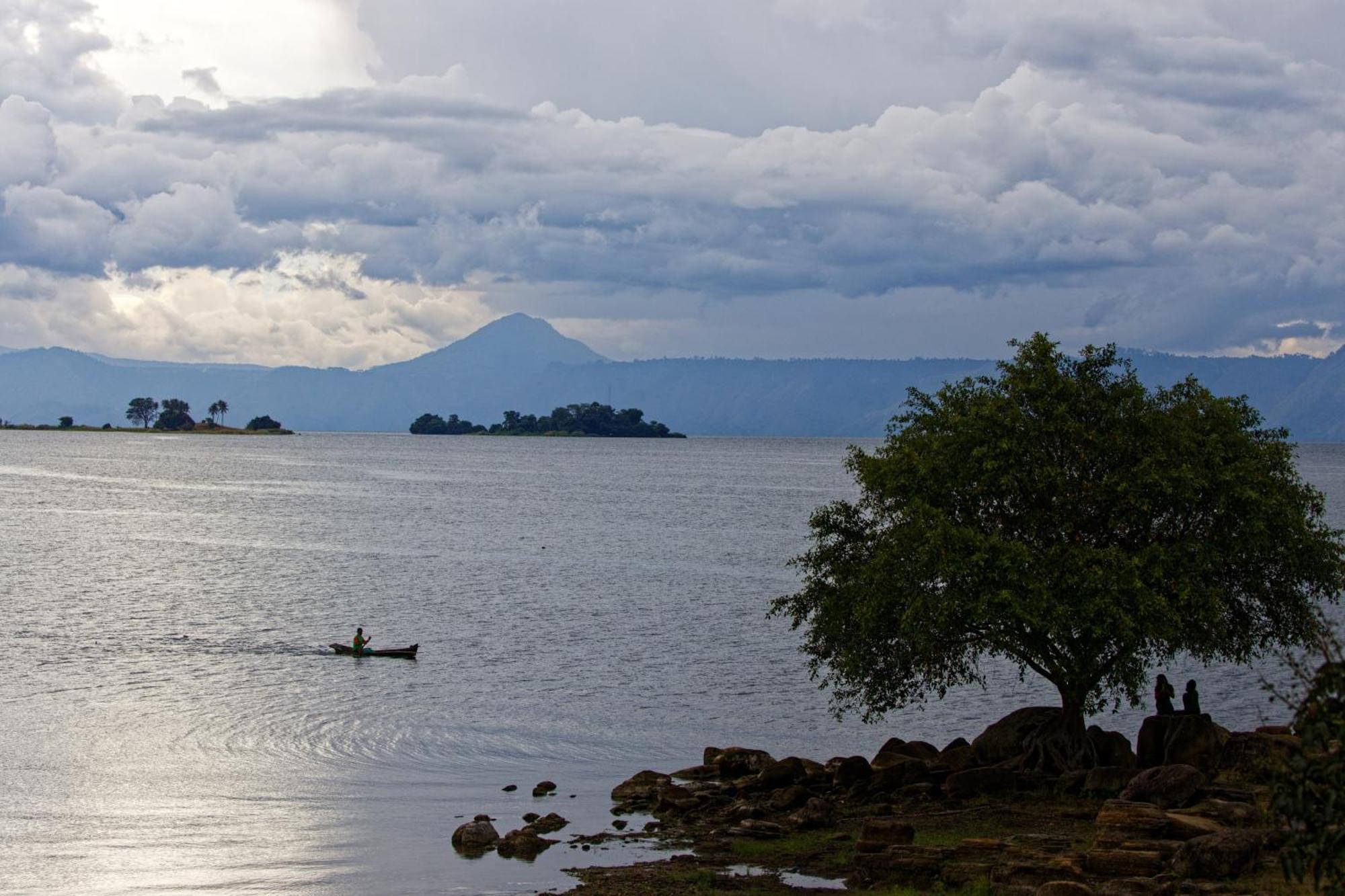Sumatra Orangutan Treks & Eco Jungle Trekking Activity Villa Timbanglawang