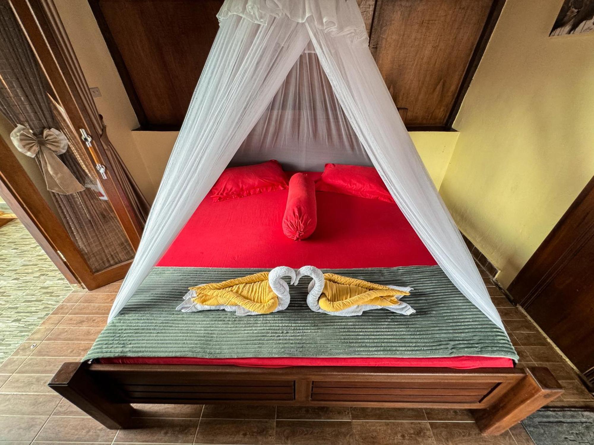 Sumatra Orangutan Treks & Eco Jungle Trekking Activity *
