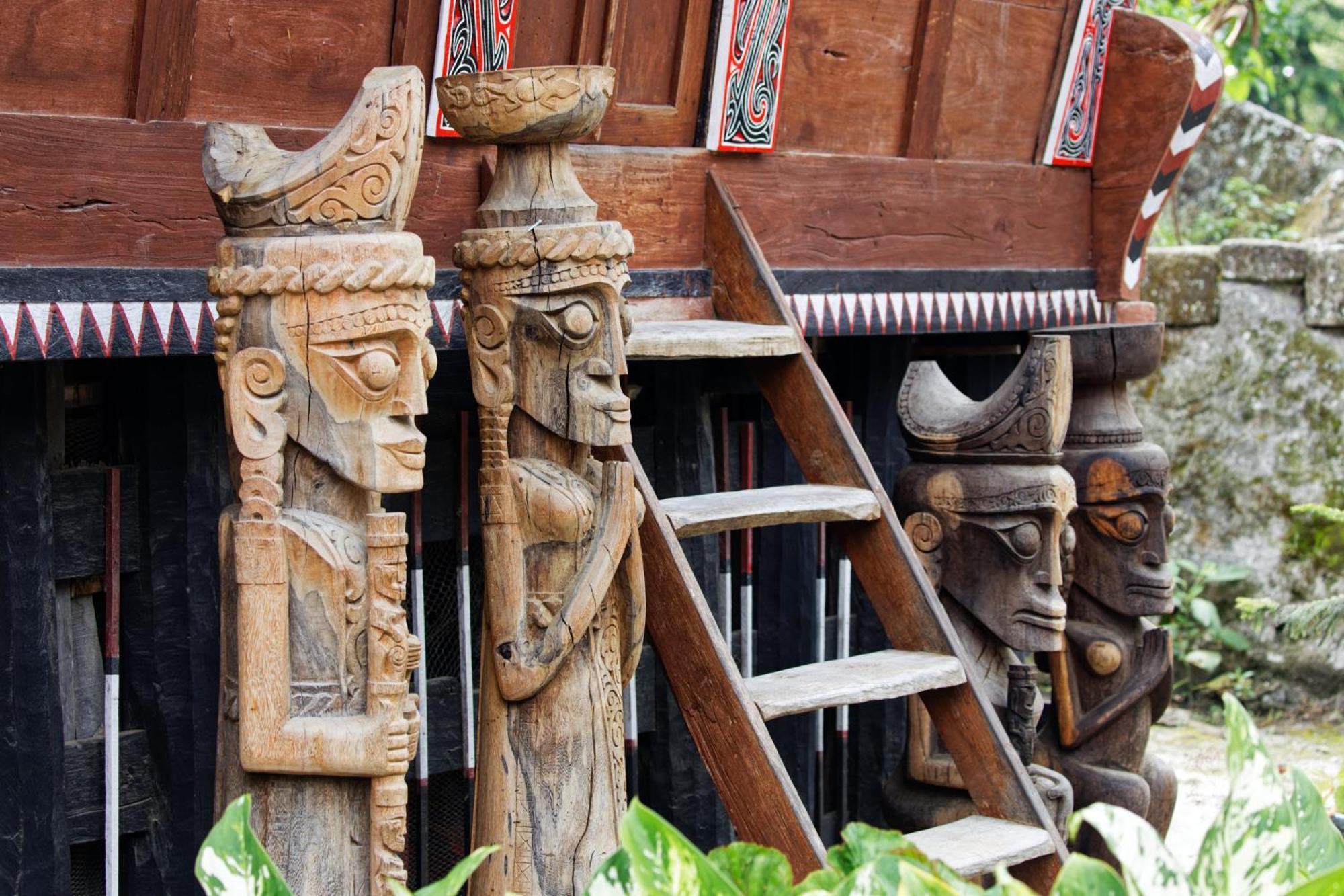Sumatra Orangutan Treks & Eco Jungle Trekking Activity Timbanglawang
