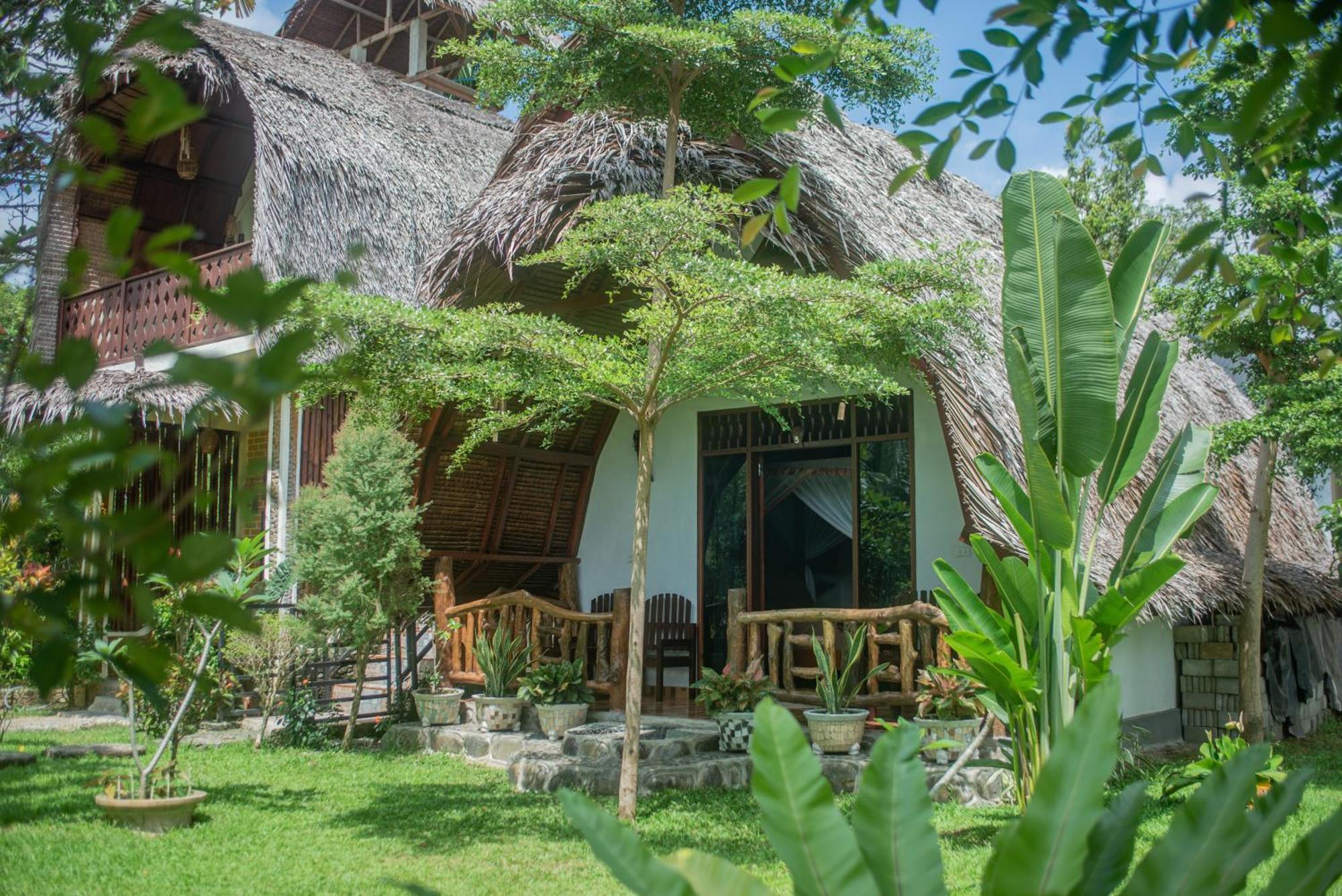 Sumatra Orangutan Treks & Eco Jungle Trekking Activity Villa Timbanglawang