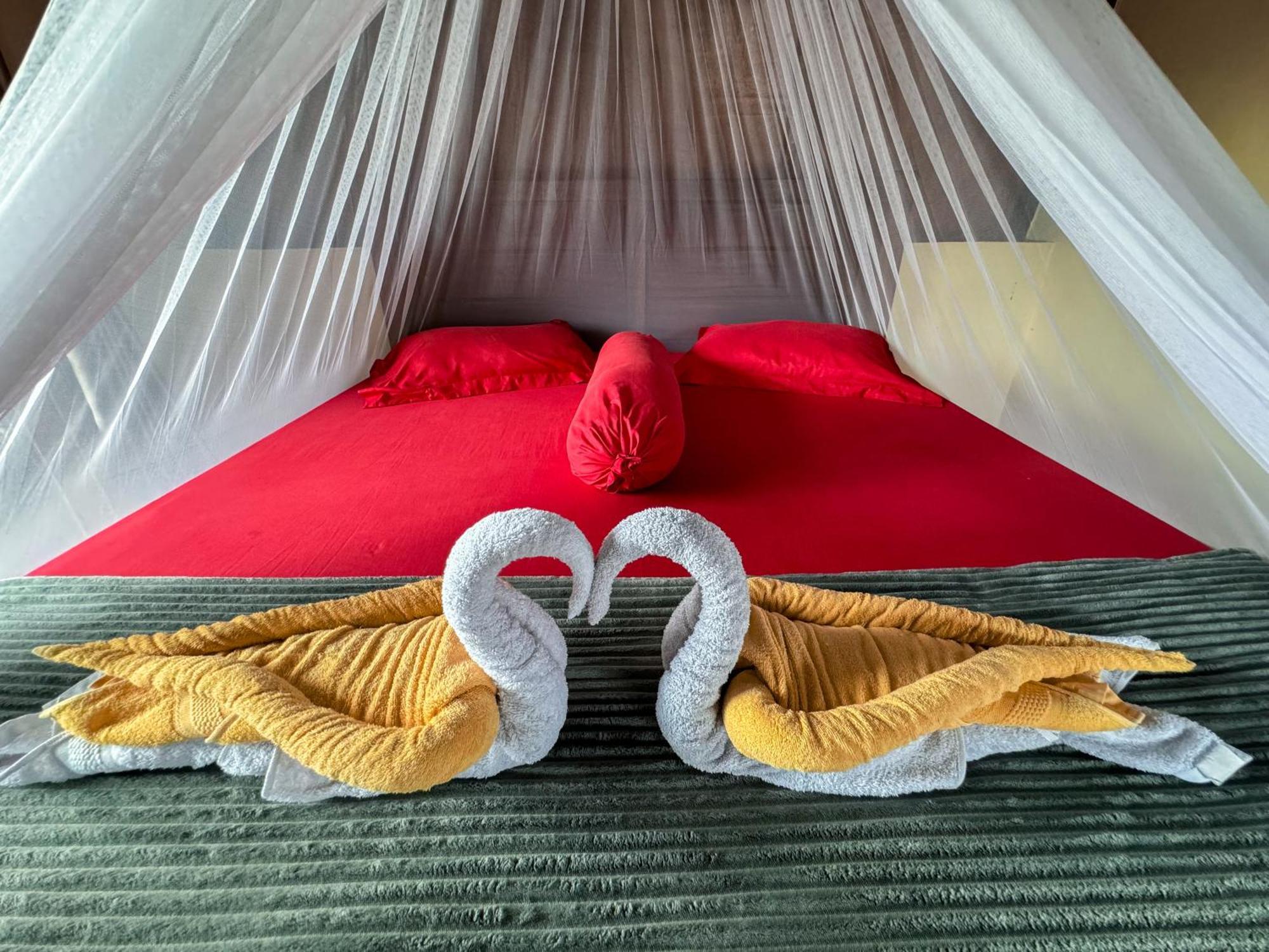 Sumatra Orangutan Treks & Eco Jungle Trekking Activity Villa Timbanglawang