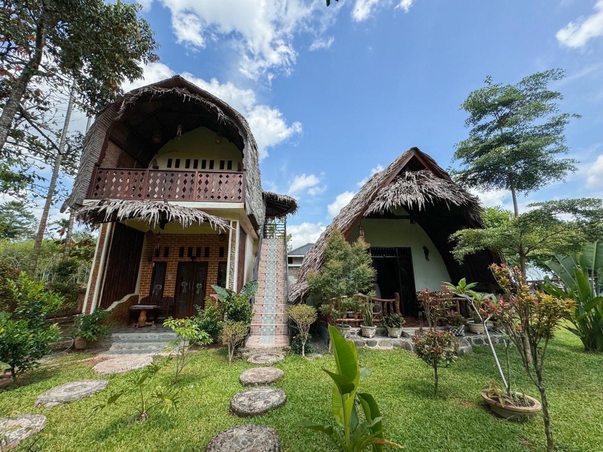 Sumatra Orangutan Treks & Eco Jungle Trekking Activity *