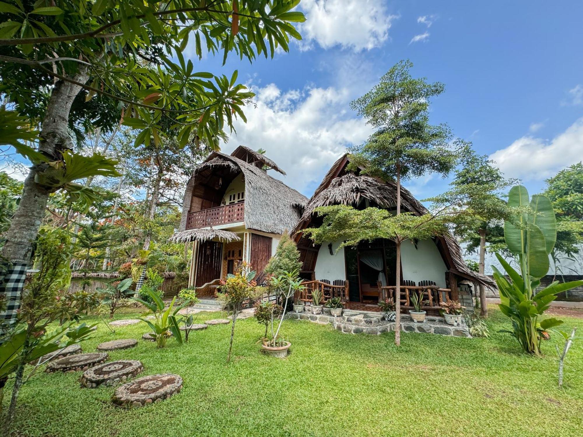 Sumatra Orangutan Treks & Eco Jungle Trekking Activity * Timbanglawang
