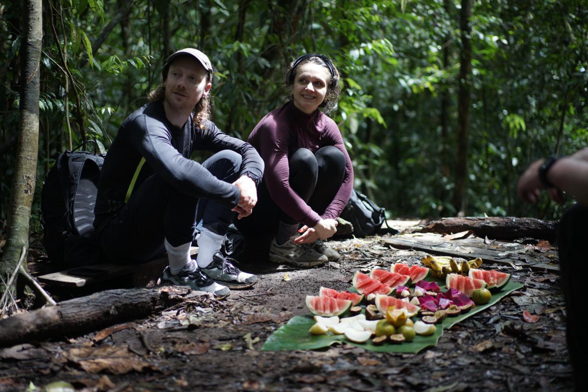 Sumatra Orangutan Treks & Eco Jungle Trekking Activity