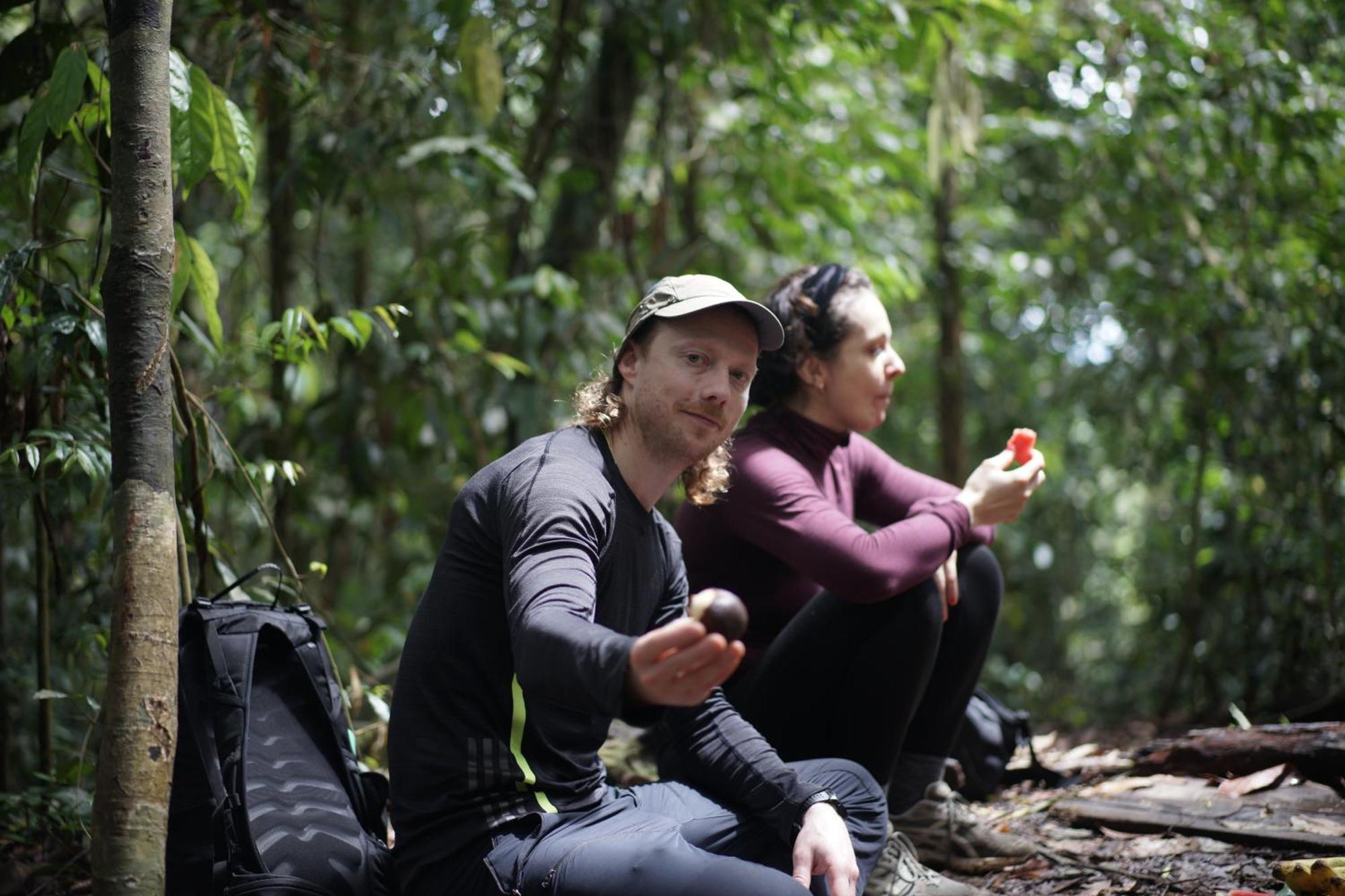 Sumatra Orangutan Treks & Eco Jungle Trekking Activity * Timbanglawang