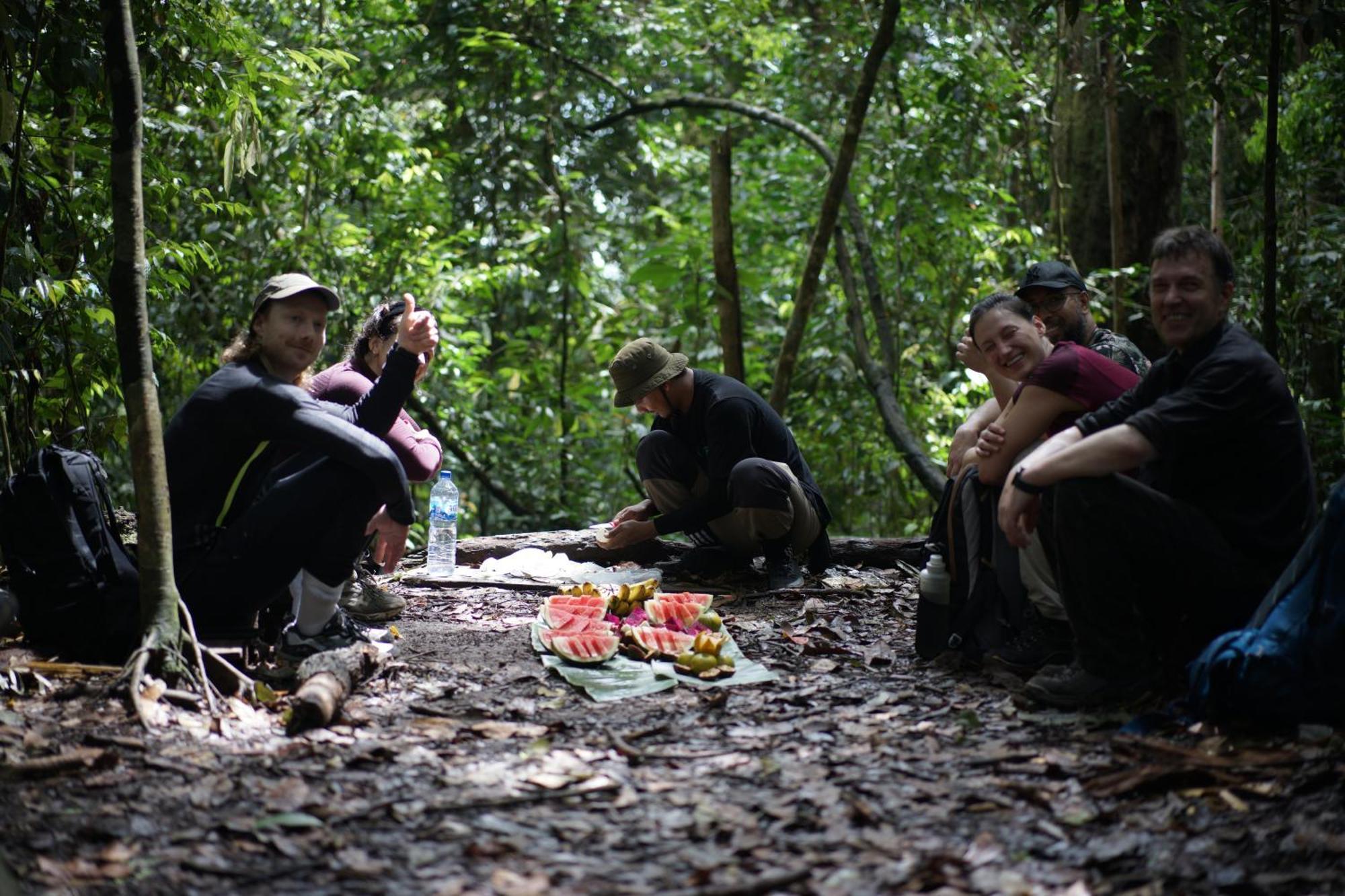 Sumatra Orangutan Treks & Eco Jungle Trekking Activity Villa Timbanglawang