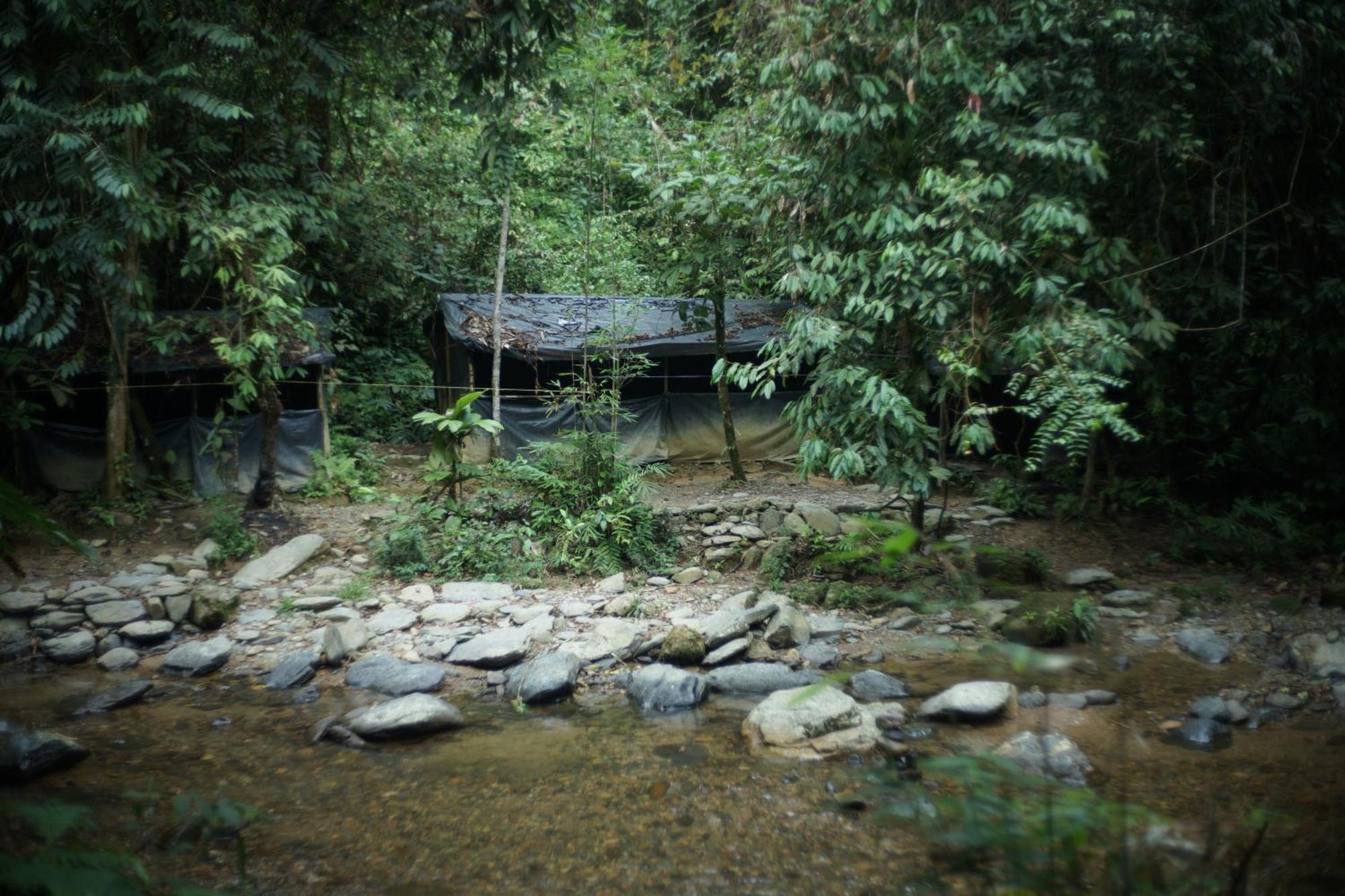 Sumatra Orangutan Treks & Eco Jungle Trekking Activity Villa *