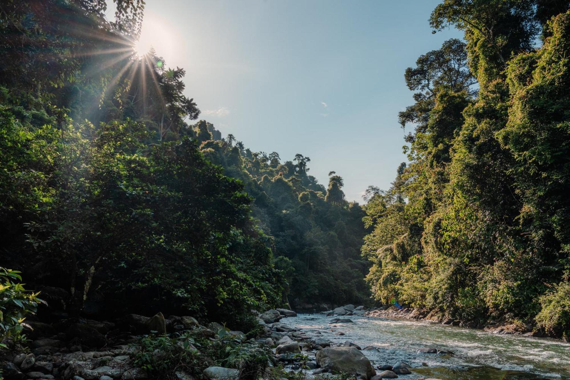 Sumatra Orangutan Treks & Eco Jungle Trekking Activity Villa