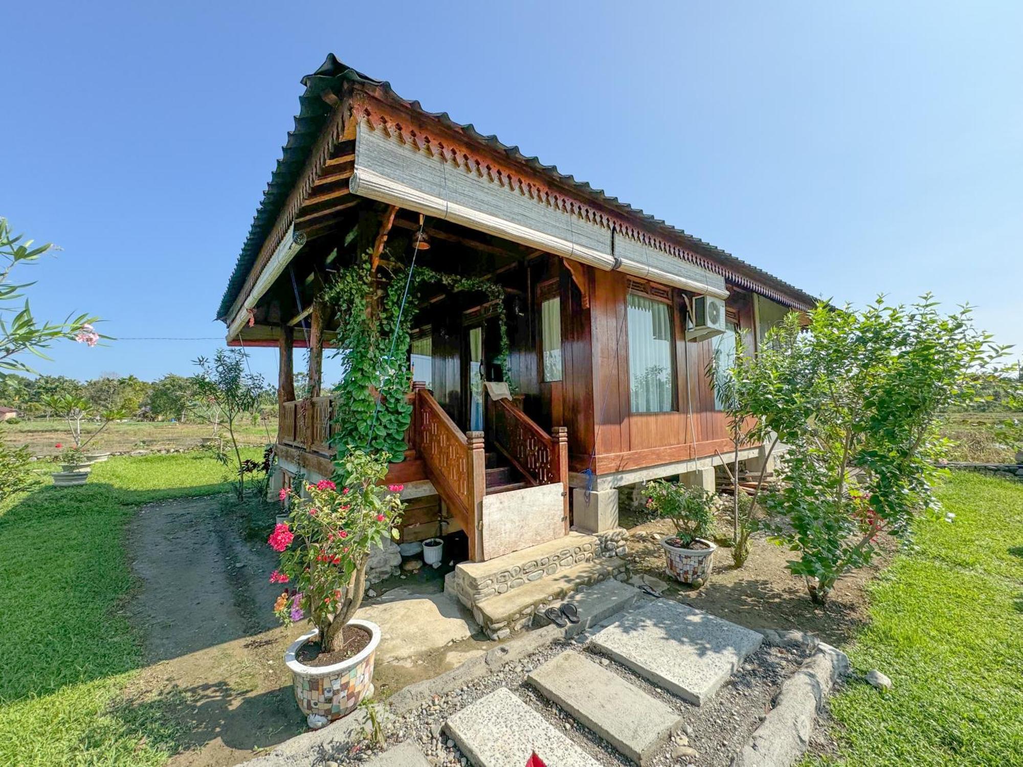 Villa Sumatra Orangutan Treks & Eco Jungle Trekking Activity Timbanglawang