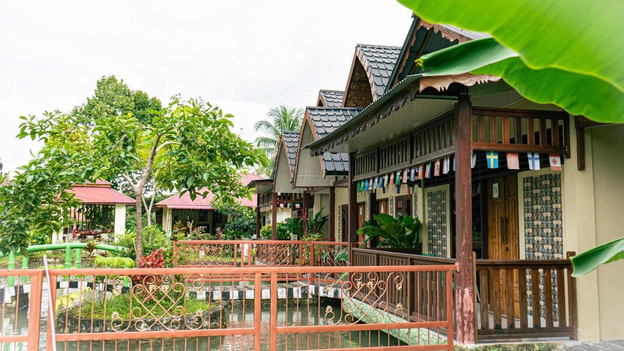 Villa Sumatra Orangutan Treks & Eco Jungle Trekking Activity Timbanglawang