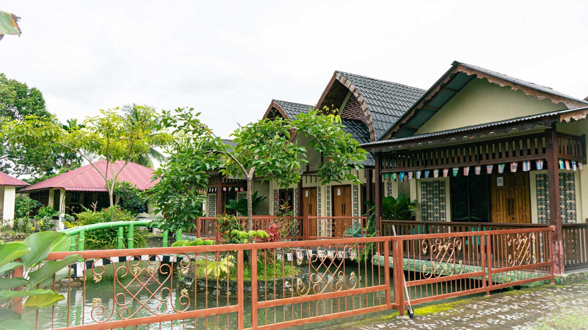 Sumatra Orangutan Treks & Eco Jungle Trekking Activity