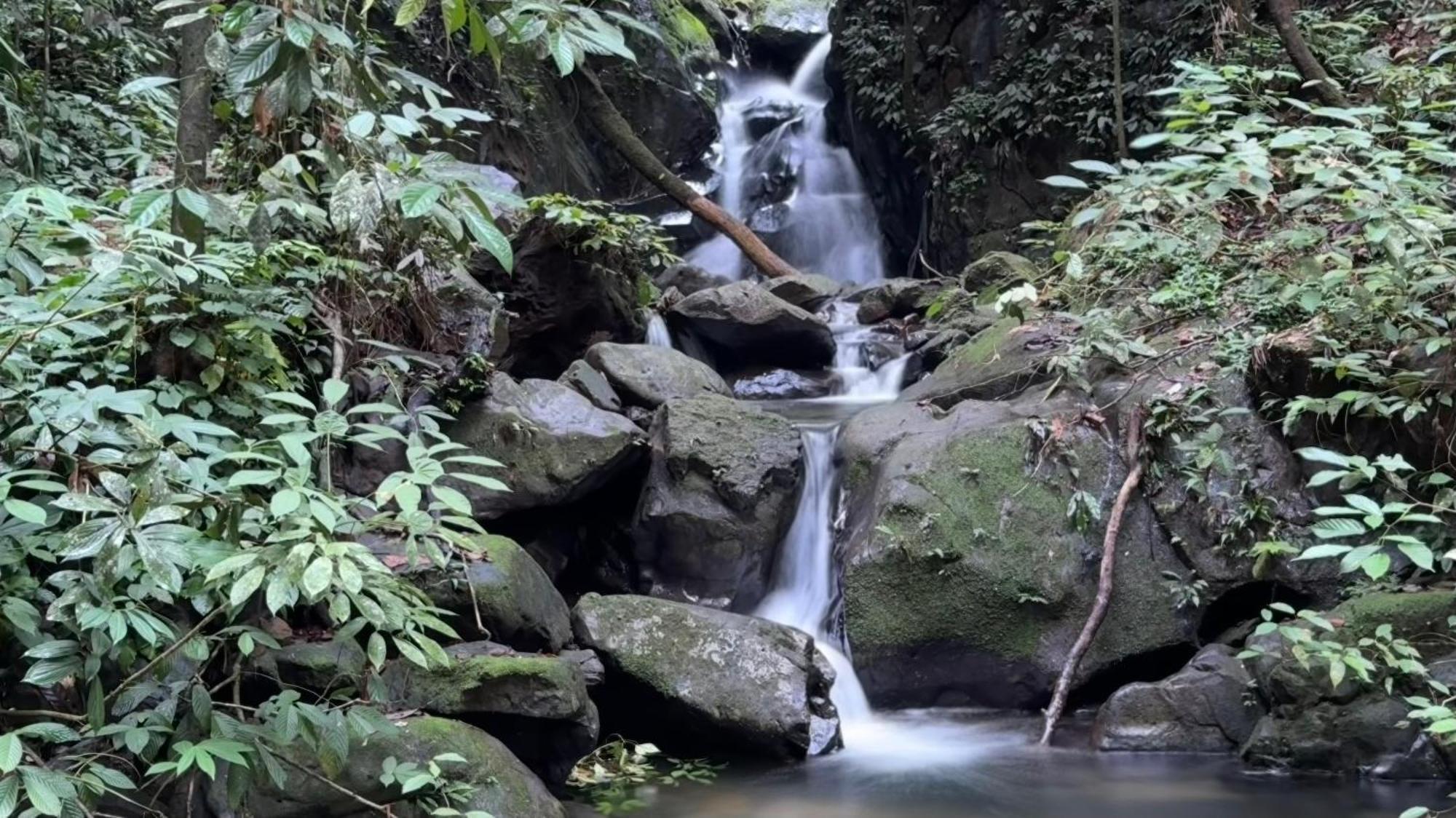 Villa Sumatra Orangutan Treks & Eco Jungle Trekking Activity