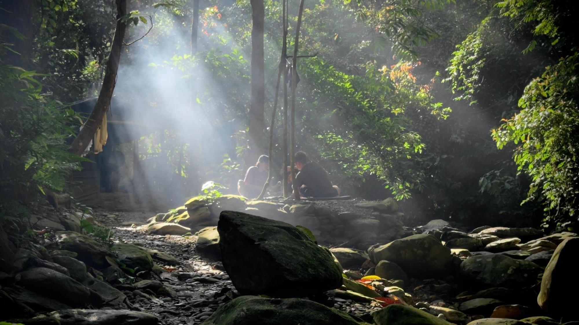 Villa Sumatra Orangutan Treks & Eco Jungle Trekking Activity *
